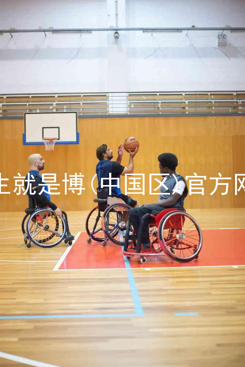 人生就是博(中国区)官方网站